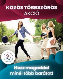 Közös többszörös akció!